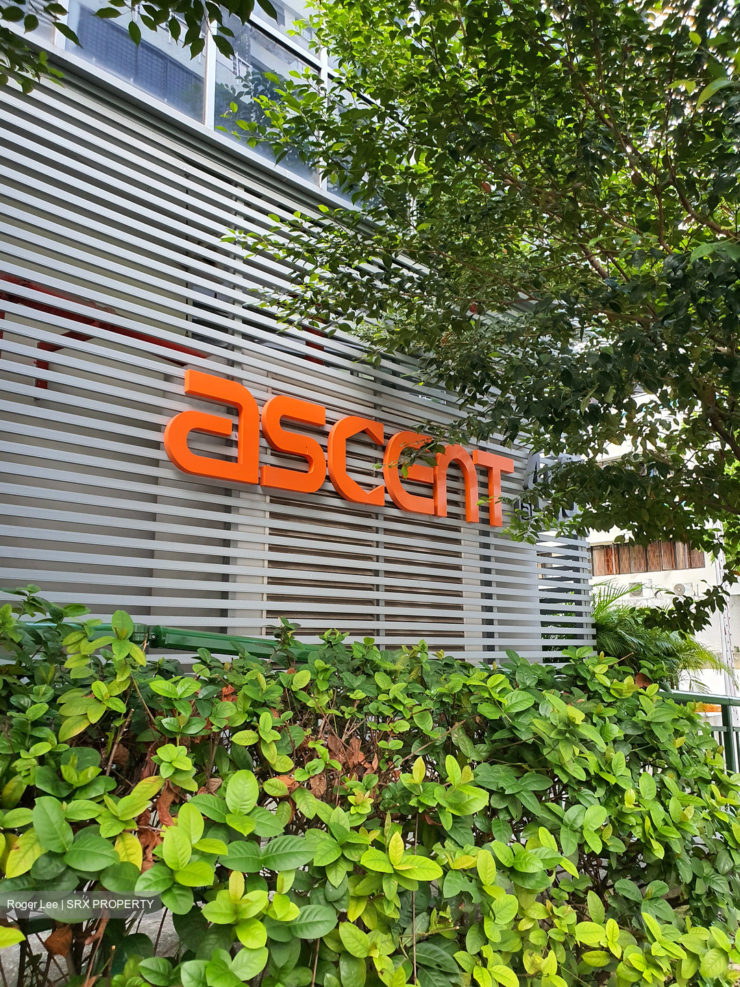Ascent @ 456 (D12), Shop House #413251611
